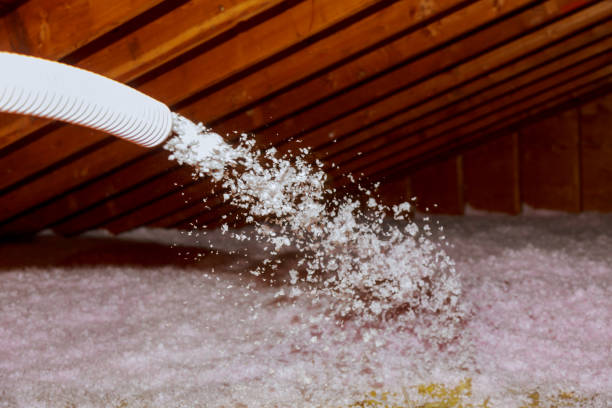 Best Insulation Removal  in Massac, KY