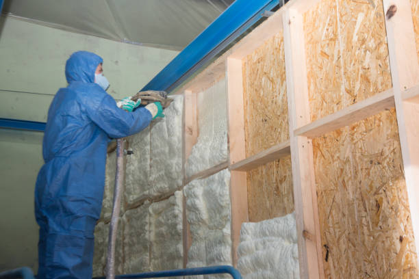 Best Energy-efficient Insulation  in Massac, KY